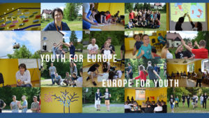 POWERVET-Web_internship-Banner2